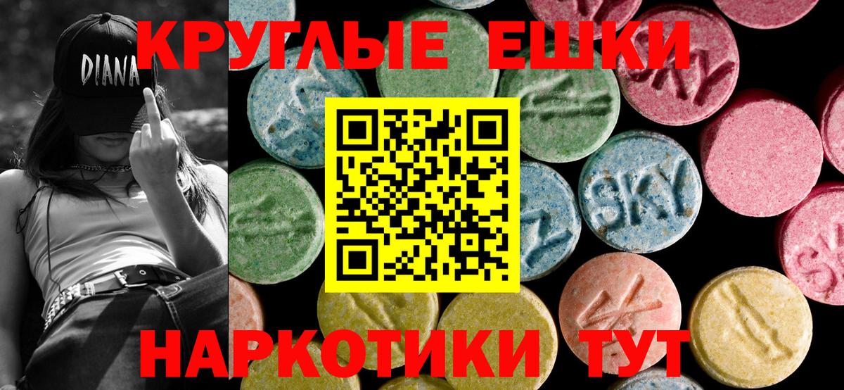 Экстази  Экстази бентли  ЭКСТАЗИ Philipp Plein  Вход с VPN  Камень-на-Оби 