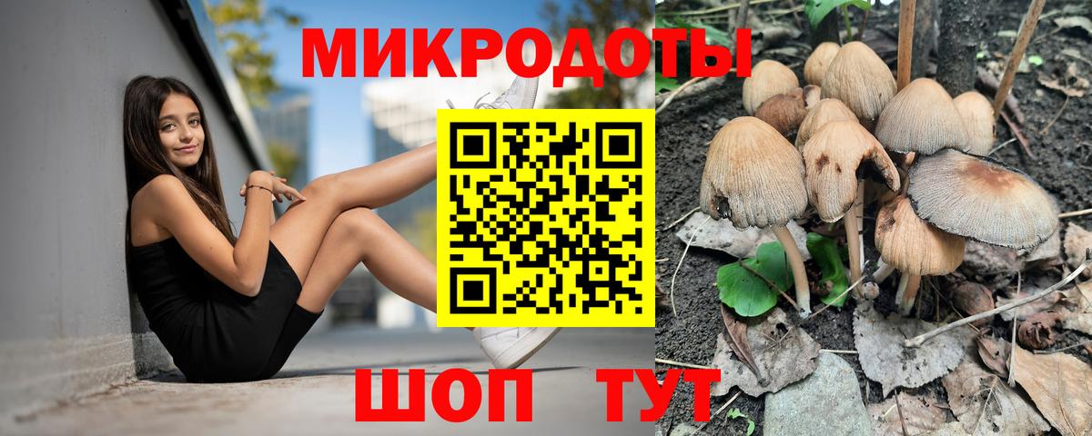 Галлюциногенные грибы GOLDEN TEACHER  Вход с VPN  Камень-на-Оби  Галлюциногенные грибы мухоморы 