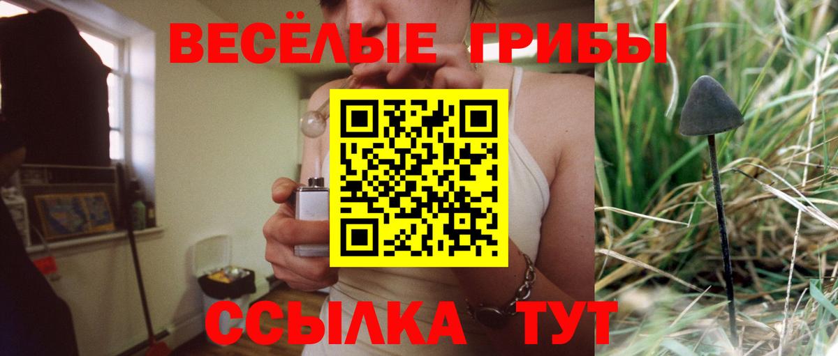 Галлюциногенные грибы мицелий Камень-на-Оби